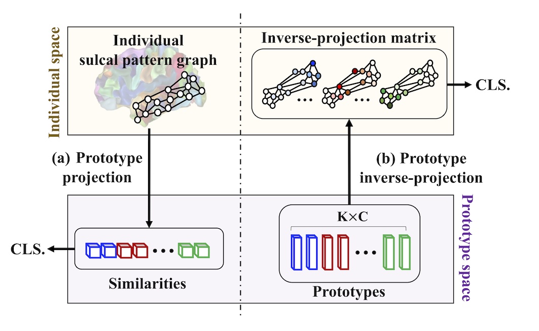 Figure2_proto.jpg