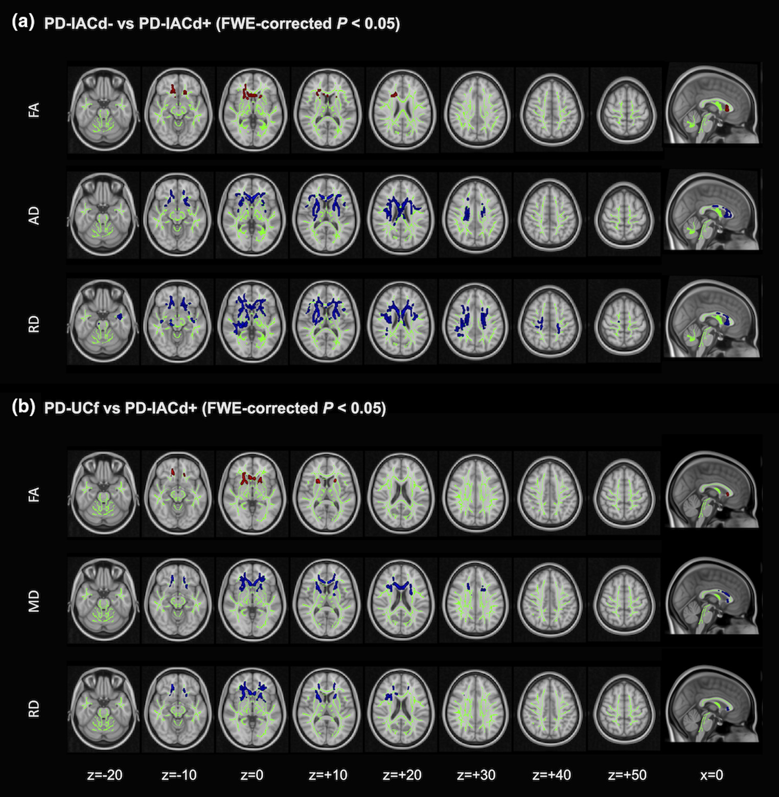 neural_figure.jpg